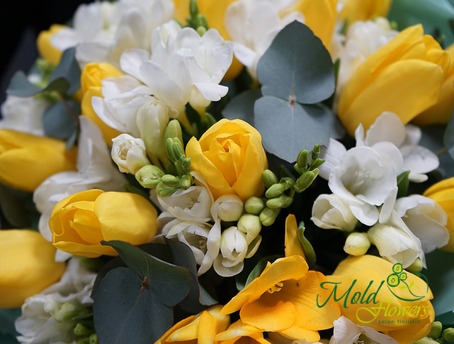 Bouquet of yellow tulips and white freesias photo